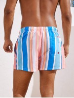 Men Multi-stripe Swim Trunks