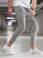 Men Vertical Striped Tapered Pants