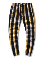 Men Striped Print Drawstring Waist Pants