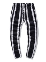 Men Striped Print Drawstring Waist Pants