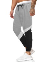 Men Cut And Sew Panel Drawstring Waist Sweatpants