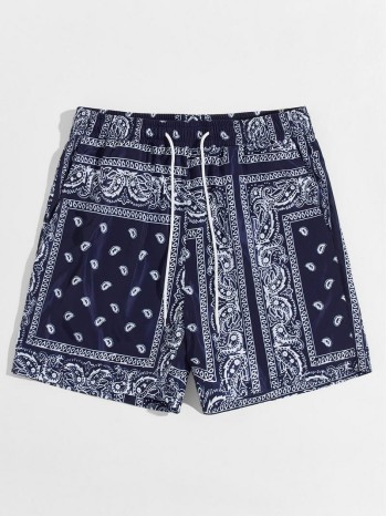 Men Drawstring Waist Paisley & Tribal Shorts