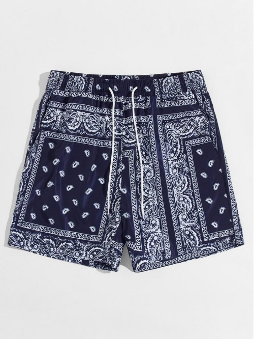 Men Drawstring Waist Paisley & Tribal Shorts