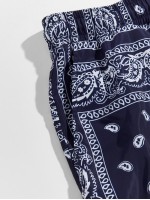 Men Drawstring Waist Paisley & Tribal Shorts