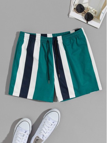 Men Drawstring Waist Striped Shorts