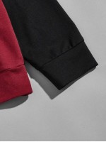 Men Colorblock Pullover & Drawstring Waist Joggers Set