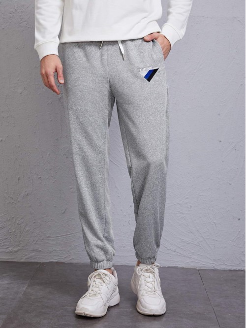 Men Embroidery Drawstring Waist Sweatpants