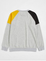 Men Color-block Slogan Graphic Sweatshirt