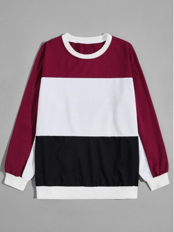 Men Colorblock Round Neck Sweatshirt