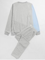 Men Color-block Sweatshirt & Drawstring Waist Sweatpants