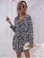 Zebra Stripe Belted Shirt Dress