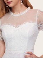 Zip Back Lace Overlay Dress