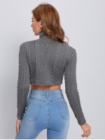 Turtleneck Cable Knit Crop Tee