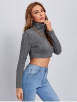 Turtleneck Cable Knit Crop Tee