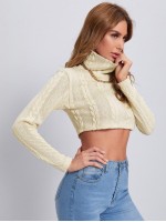 Turtleneck Cable Knit Crop Tee