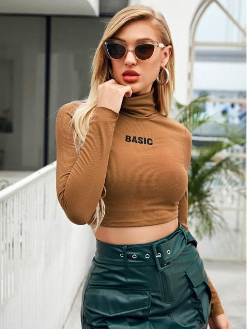 Ribbed Basic Graphic Turtleneck Crop Top