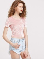 Velveteen Cropped Short Sleeve Tee