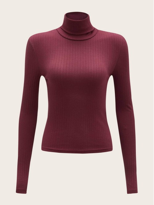 Turtle Neck Rib-knit Top